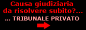 Arbitrato Torino,avvocati Torino,avvocati Nichelino,arbitrato Moncalieri,avvocati Moncalieri,arbitrato Nichelino